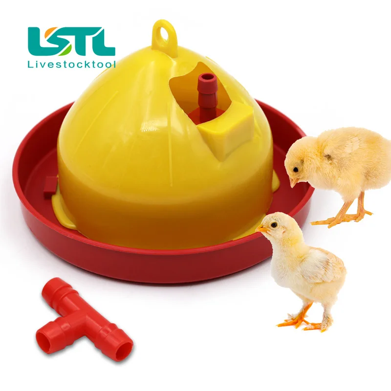 Bebedouro Automático para Aves e Pintinhos com Fácil Abastecimento - Imagem 5
