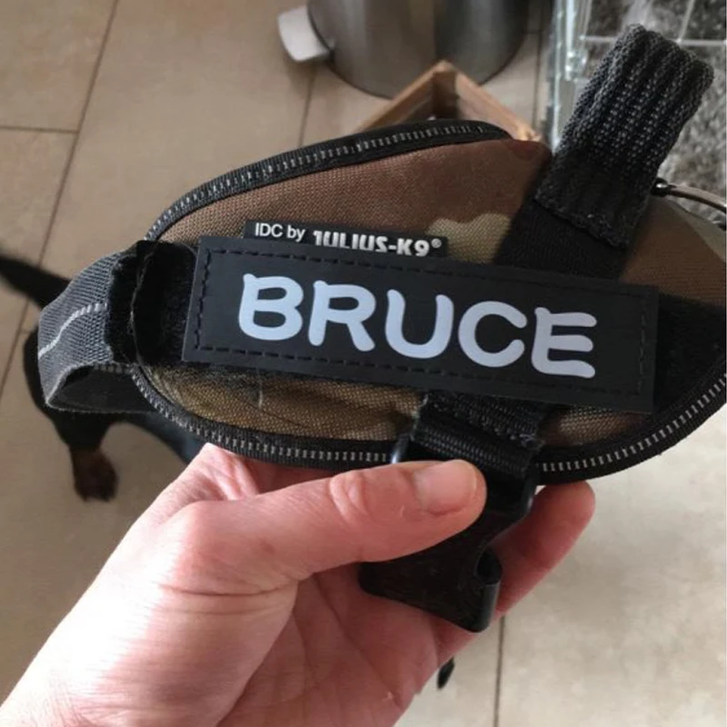 Etiqueta K9 Personalizada para Cães em PU com Nome e Telefone - Imagem 2