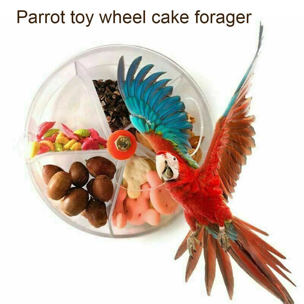 Brinquedo Alimentador para Papagaios 13 cm com Parafuso para Fixar - Imagem 5
