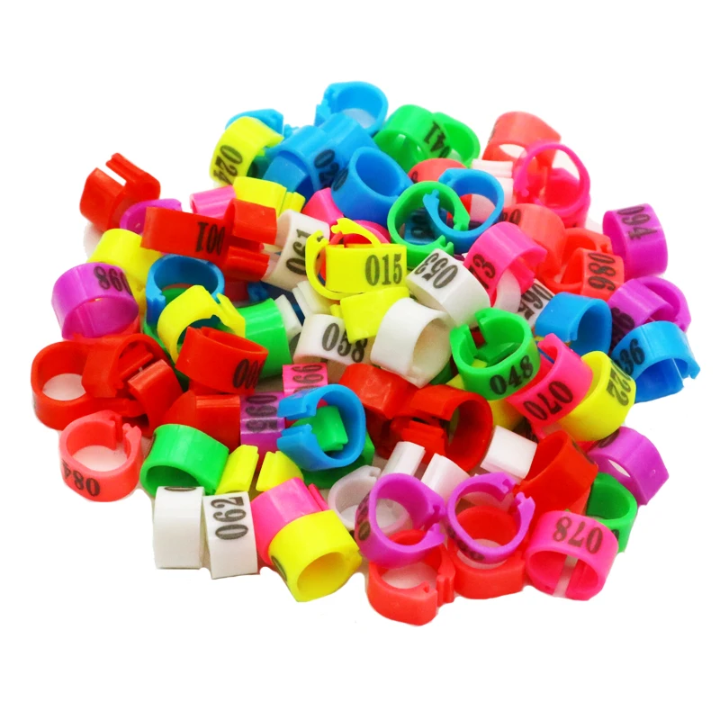 anéis de identificação para pássaros 10mm