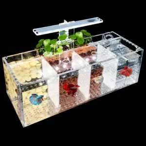tanque para peixe betta acrílico