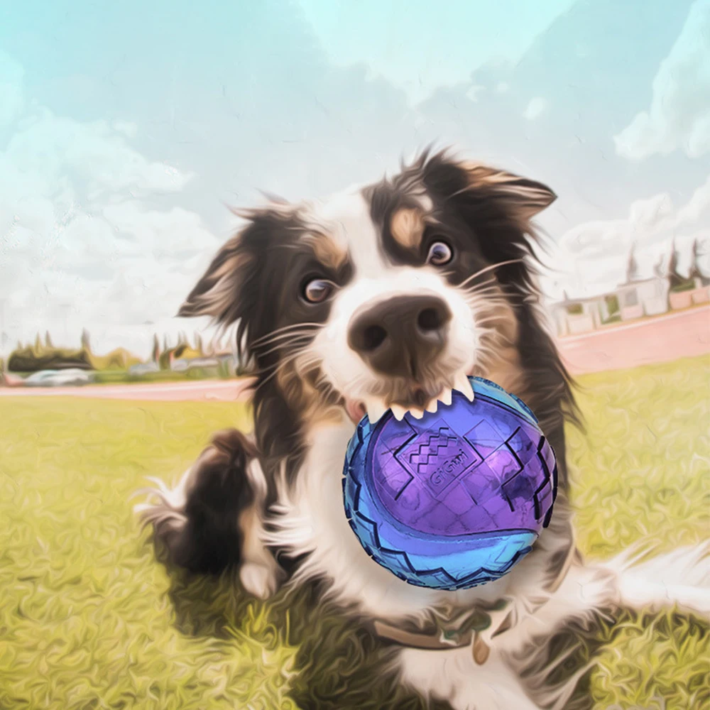 Bola de Borracha Natural Squeaky para Cães Pequenos e Grandes - Imagem 3
