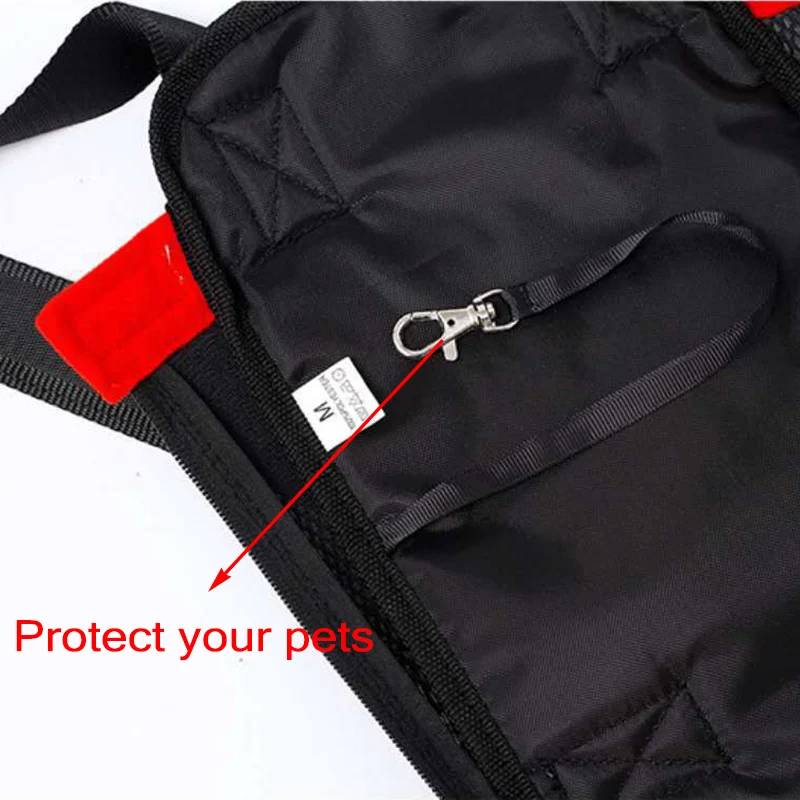 Mochila para Cães Pequenos e Gatos para Viagem e Passeio - Imagem 4