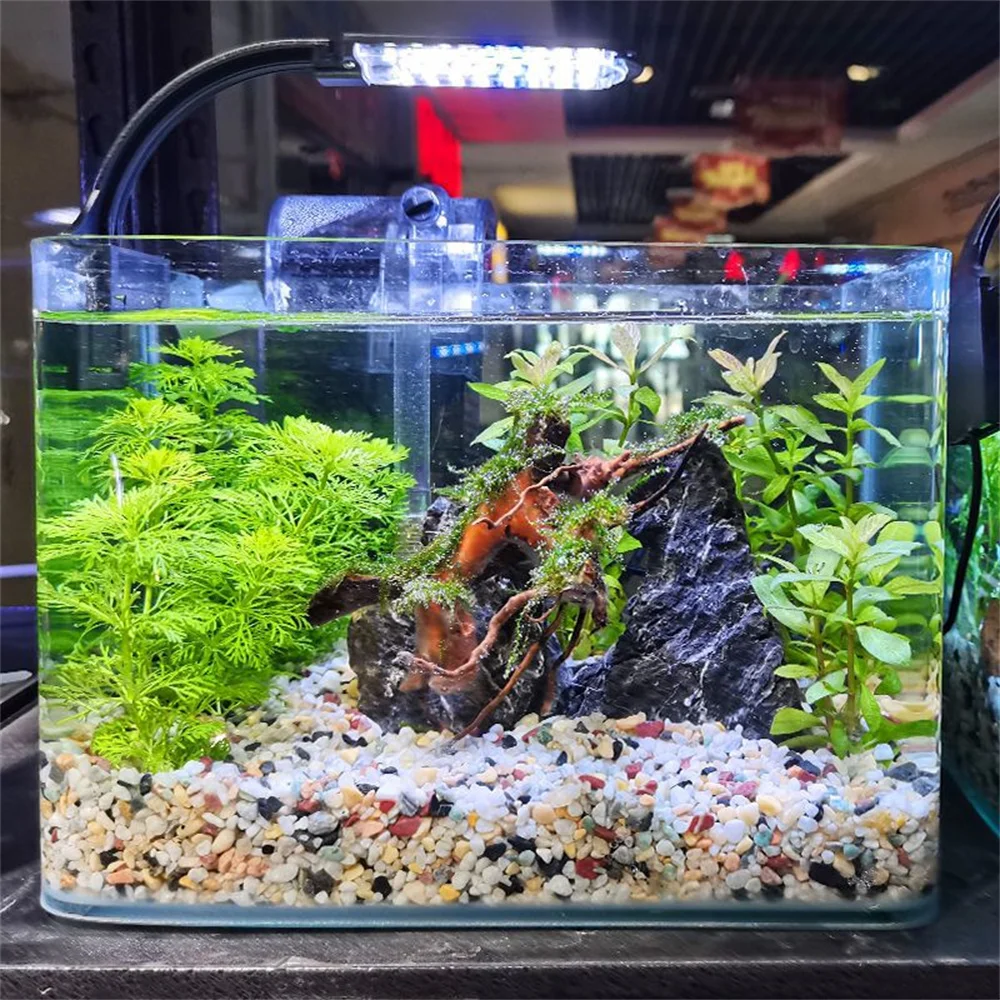Cascalho para Aquário de Pedra Natural 3-5mm para Decoração - Imagem 6