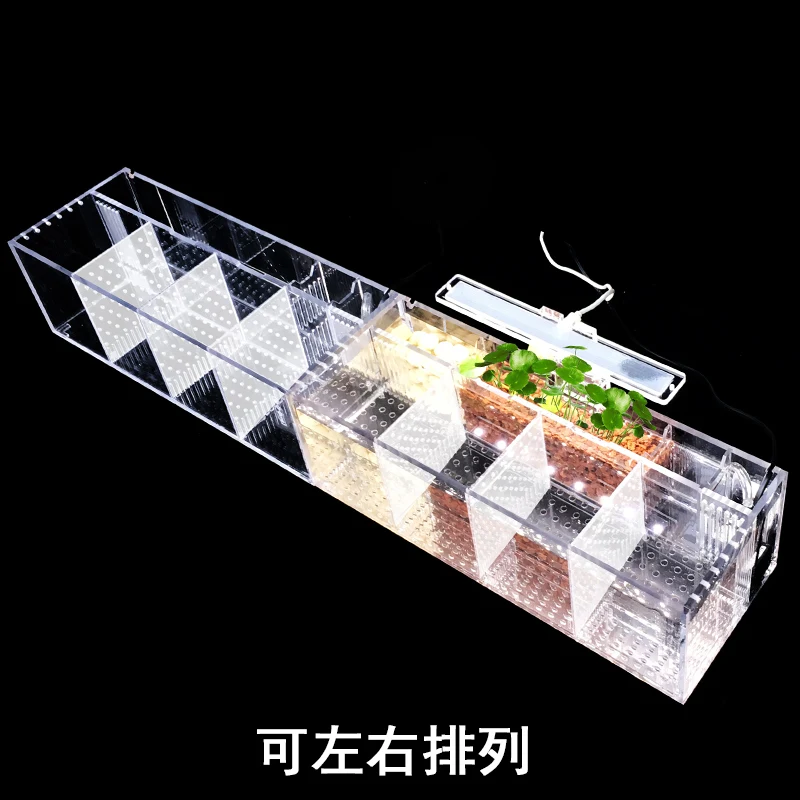 Tanque para Peixe Betta Acrílico Transparente 220V - Imagem 4
