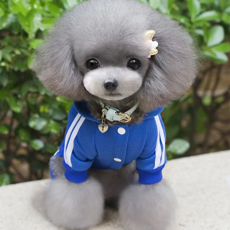 Macacão Adidog para Cães Pequenos de Algodão e Fleece Quente - Imagem 4