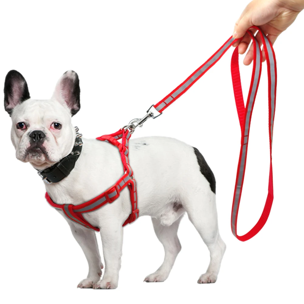 Conjunto Coleira e Guia para Cães Pequenos e Médios Refletivo Nylon - Imagem 6