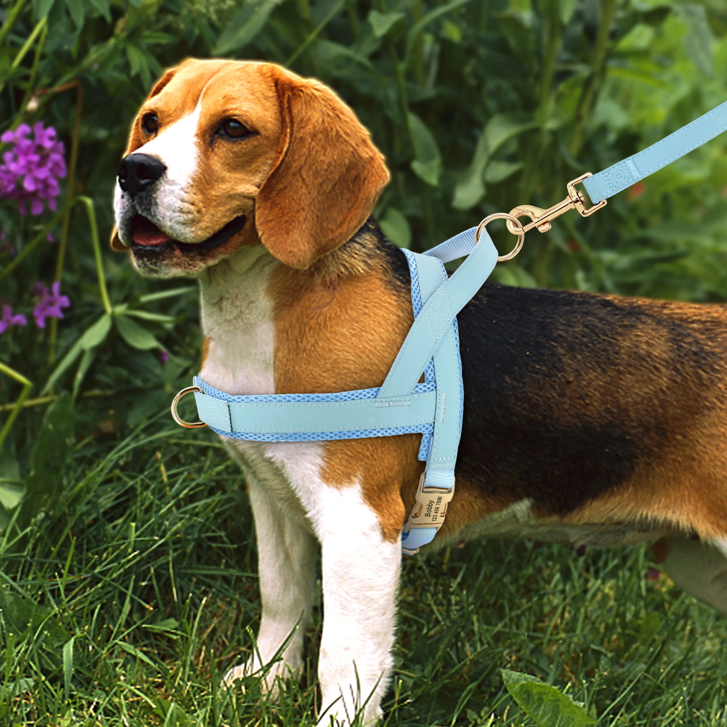 Coleira Peitoral Personalizada para Cães com Guia Ajustável Sem Puxar - Imagem 4
