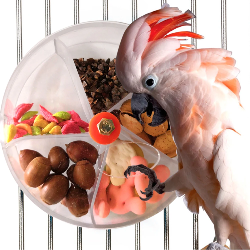 brinquedo alimentador para papagaio