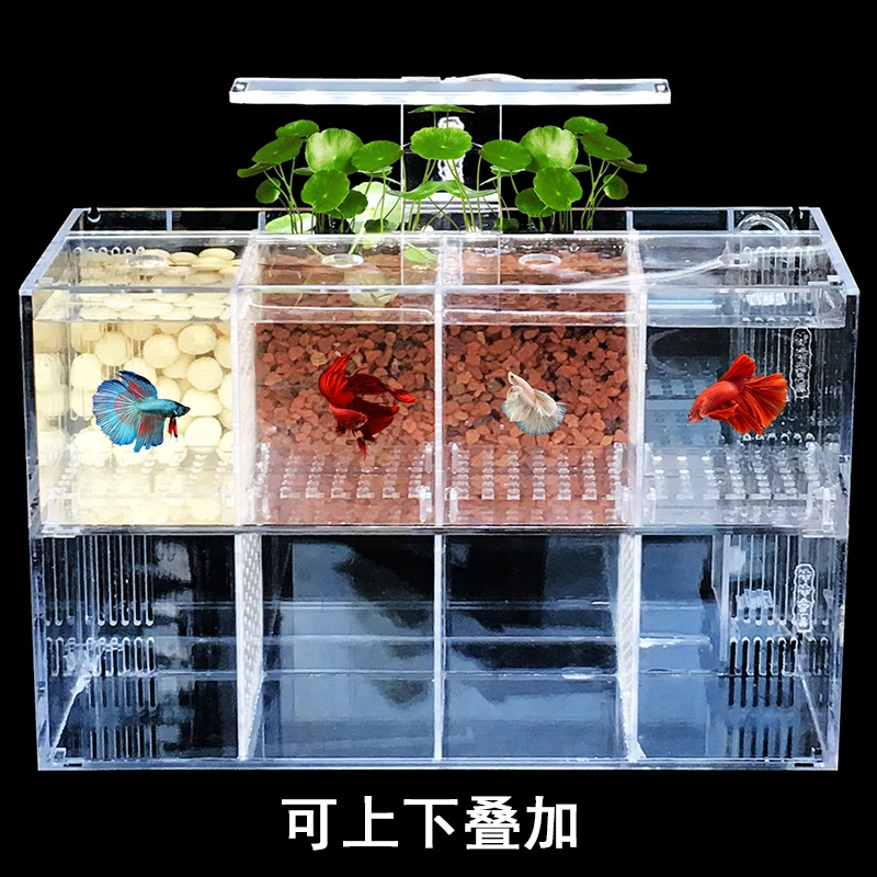 Tanque para Peixe Betta Acrílico Transparente 220V - Imagem 3