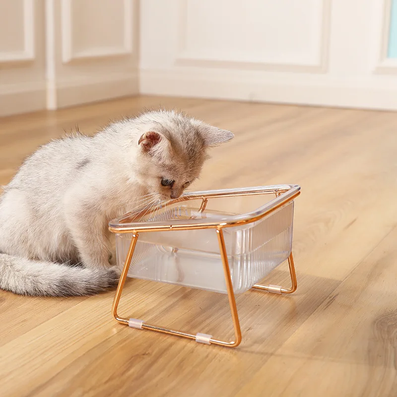 Tigela Dupla para Cães e Gatos Transparente com Suporte Elevado - Imagem 5