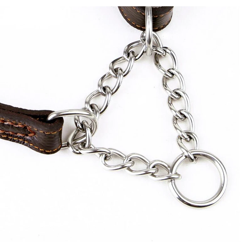 Coleira para Cães de Couro Genuíno 2,0/2,5 cm para Raças Médias e Grandes - Imagem 5