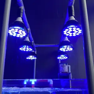 lâmpada led para aquário de recifes