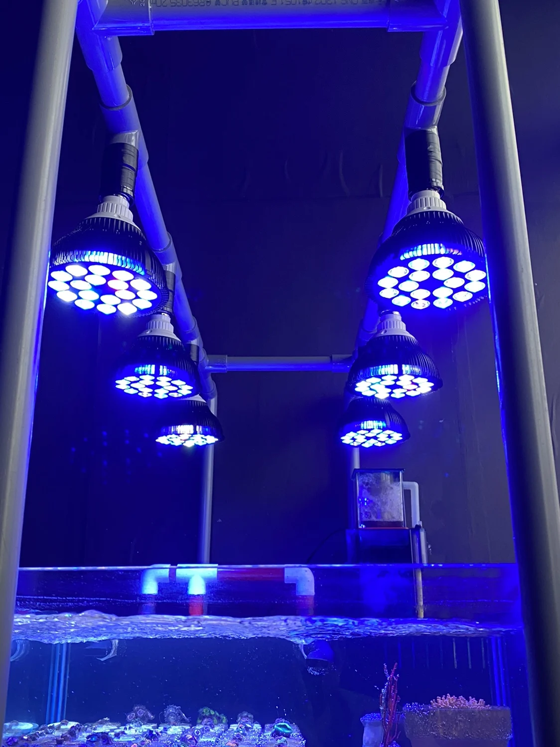 lâmpada led para aquário de recifes