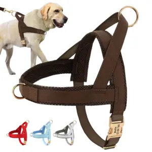 arnês para cães médios e grandes ajustável
