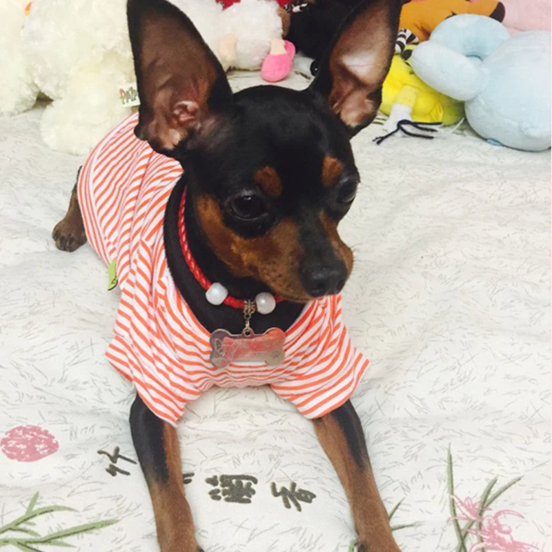 Camiseta de Algodão para Cães Pequenos e Gatos Amarelo - Imagem 3