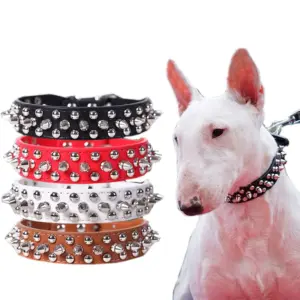 coleira para cães de veludo