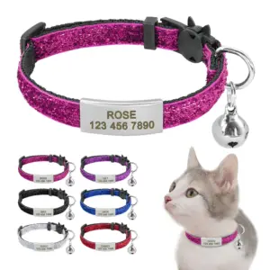 coleira para gato com gravação