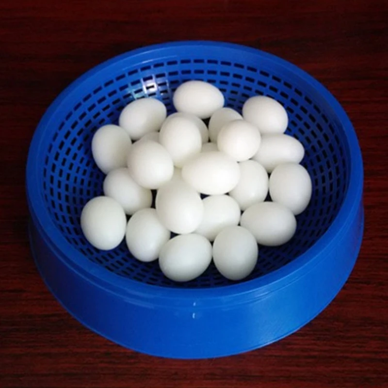 Kit 5 Ovos de Plástico para Pombo Chocar Simulação - Imagem 6