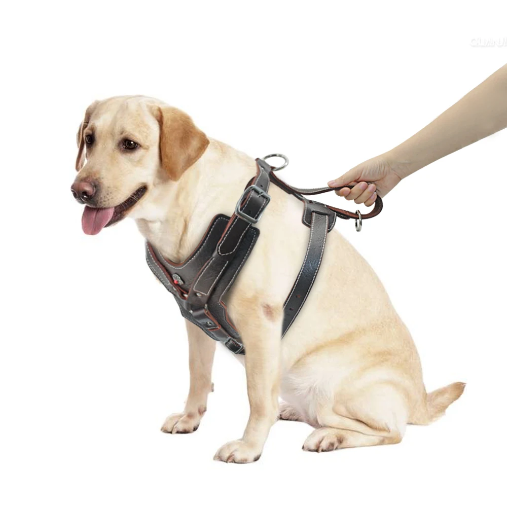 Colete para Cães Grandes de Couro Genuíno com Alça de Controle - Imagem 4