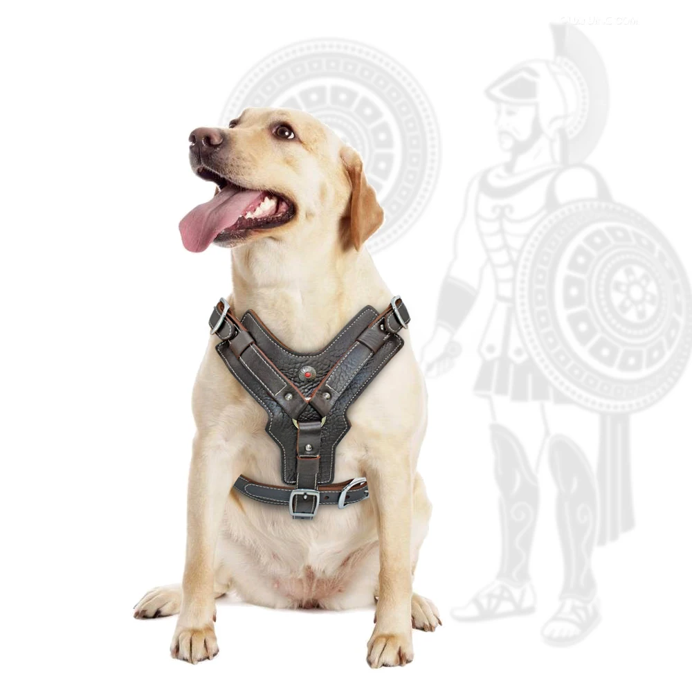 Colete para Cães Grandes de Couro Genuíno com Alça de Controle - Imagem 3