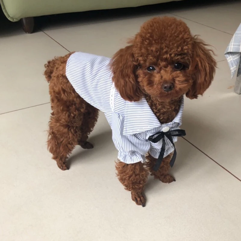 Vestido de Verão para Cães Pequenos e Gatos, Vermelho - Imagem 3