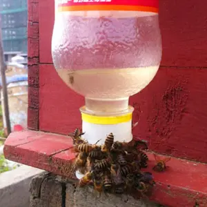 bebedouro para abelhas tipo copo