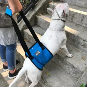 arnês de elevação para cães