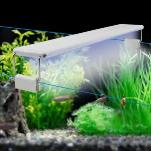 iluminação led para aquário plantas