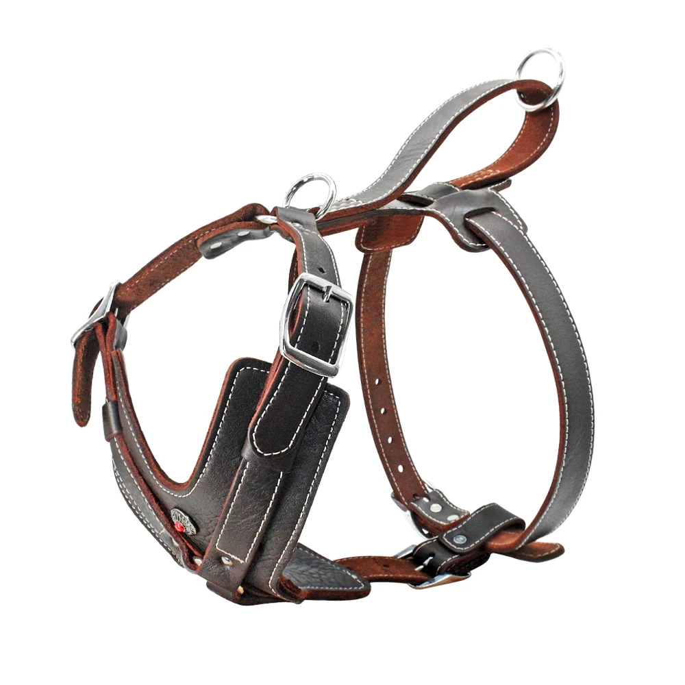 Colete para Cães Grandes de Couro Genuíno com Alça de Controle - Imagem 6