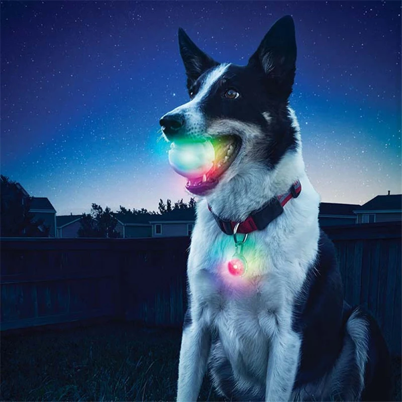 Bola de LED para Cães Brilhante para Brincadeiras Noturnas - Imagem 5