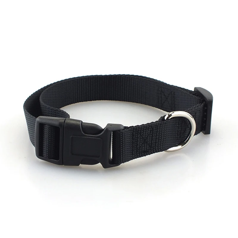 Coleira de Nylon para Cães Pequenos e Médios com Fivela de Engate Rápido - Imagem 4