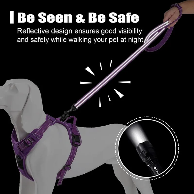 Trela Truelove para Cães de Nylon Refletiva para Passeio 200 cm - Imagem 3