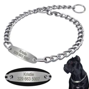 coleira corrente para cães com identificação