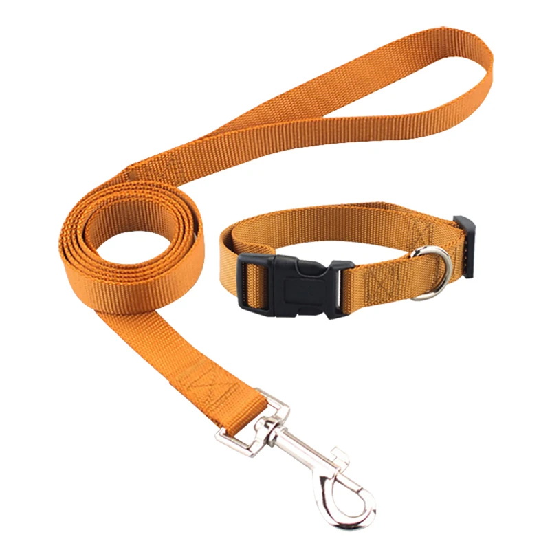 Coleira de Nylon para Cães Pequenos e Médios com Fivela de Engate Rápido - Imagem 3