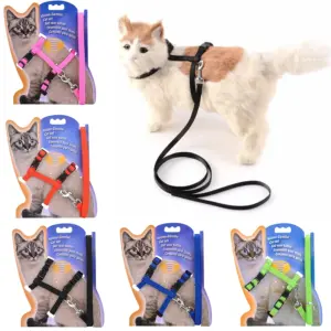 coleira peitoral e guia para gatos nylon