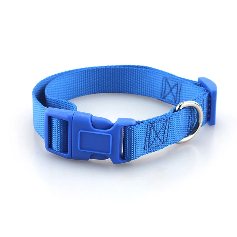 Coleira de Nylon para Cães Pequenos e Médios com Fivela de Engate Rápido - Imagem 5