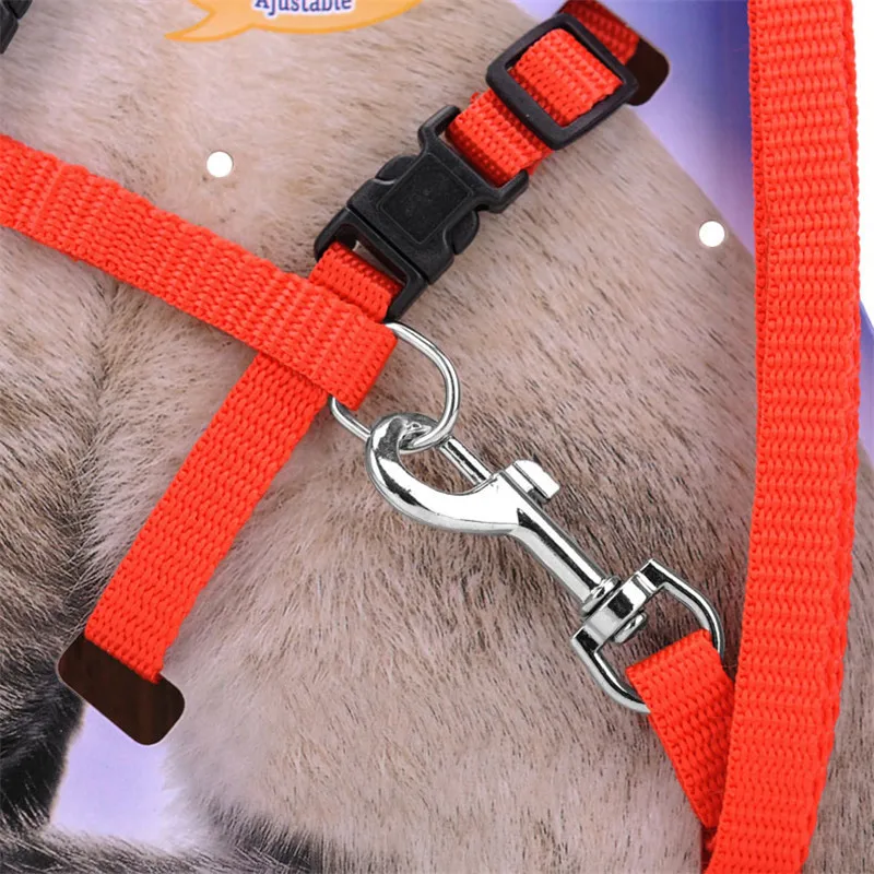 Coleira Peitoral e Guia para Gatos de Nylon Ajustável para Gatos até 5 kg - Imagem 3