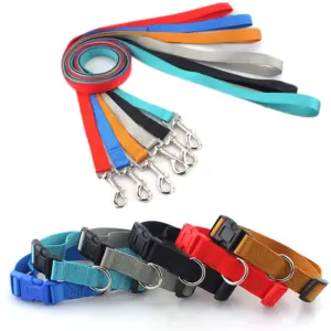 coleira de nylon para cães com fivela de engate rápido