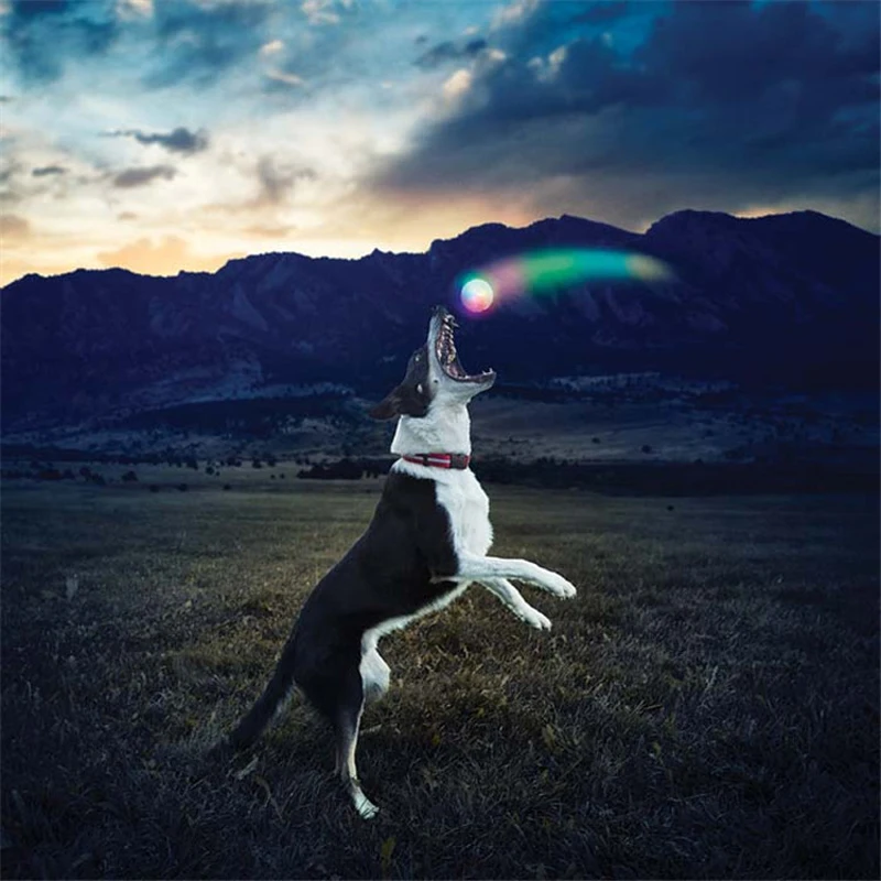 Bola de LED para Cães Brilhante para Brincadeiras Noturnas - Imagem 2