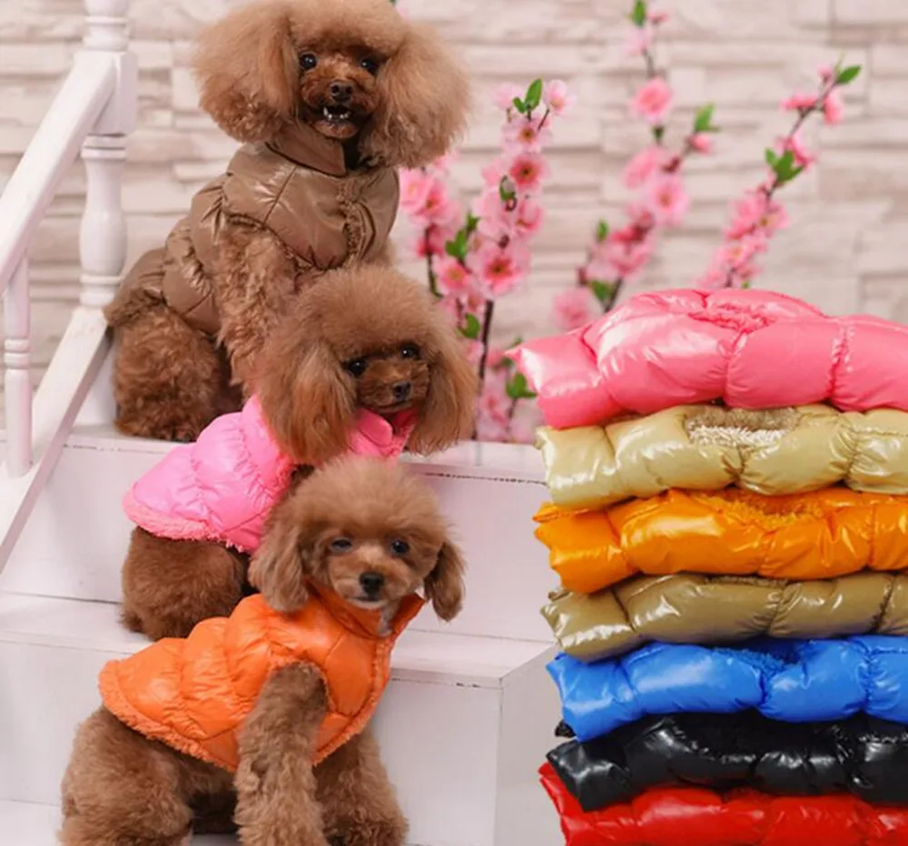 Casaco para Cães de Inverno com Forro de Lã para Dias Frios - Imagem 2