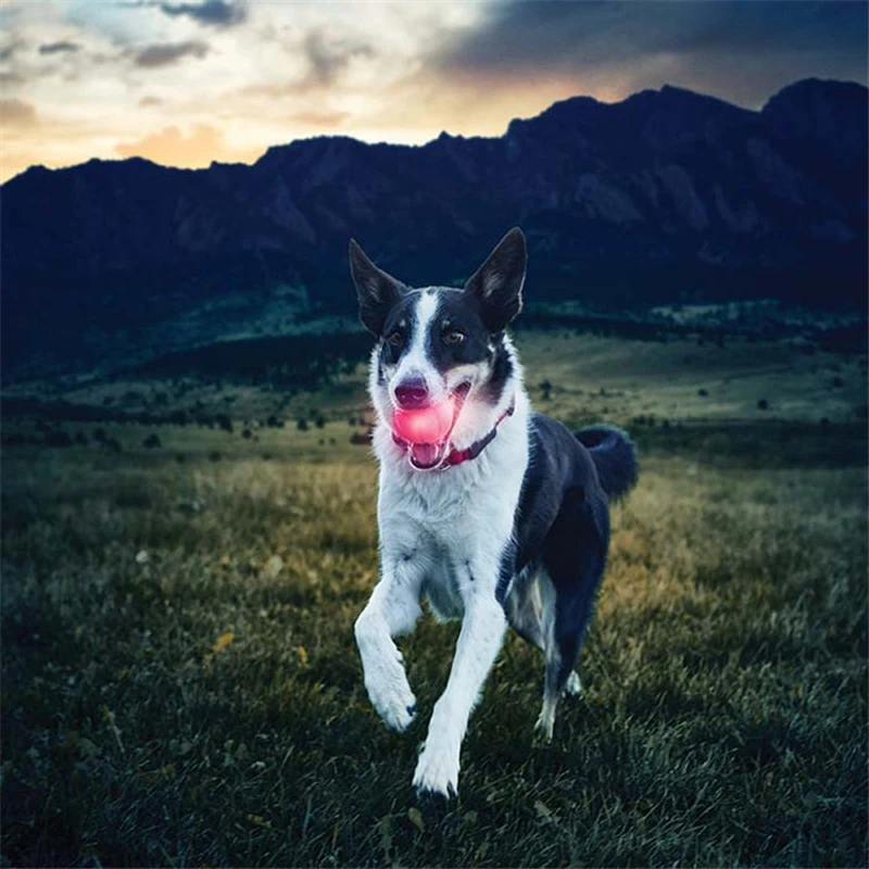 Bola de LED para Cães Brilhante para Brincadeiras Noturnas - Imagem 6