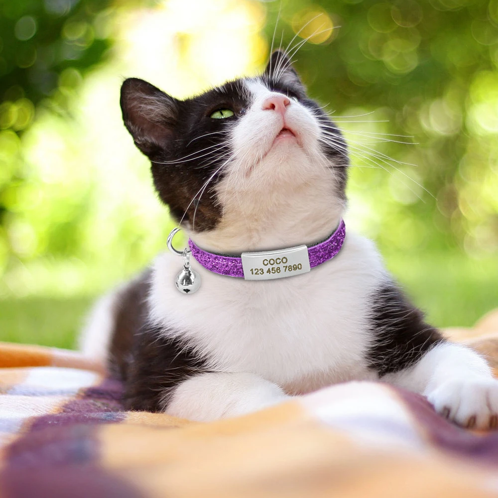 Coleira de Gato e Cães Pequenos Brilhante com Sino e Gravação - Imagem 4