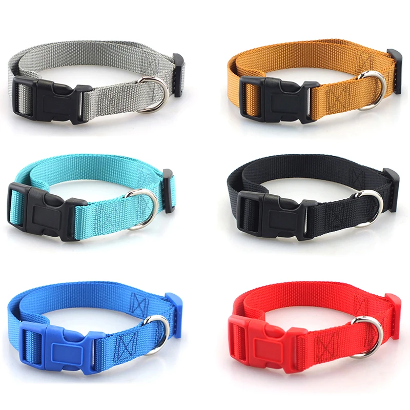 Coleira de Nylon para Cães Pequenos e Médios com Fivela de Engate Rápido - Imagem 2