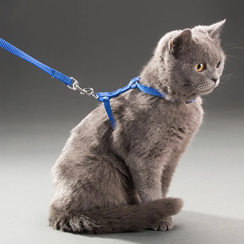 Coleira Peitoral e Guia para Gatos de Nylon Ajustável para Gatos até 5 kg - Imagem 2