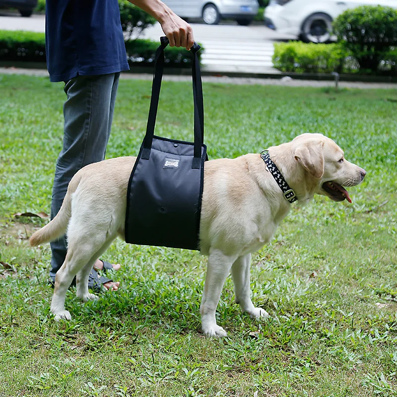 Arnês de Elevação para Cães com Suporte Traseiro para Lesões e Recuperação - Imagem 2