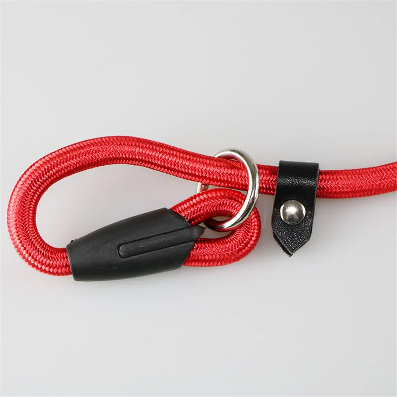 Coleira e Guia Redonda de Nylon para Cães Pequenos 130 cm - Imagem 6