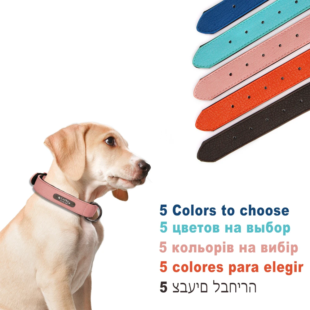 Coleira de Couro para Cães com Placa de Identificação Gravada e 5 Furos de Ajuste - Imagem 3