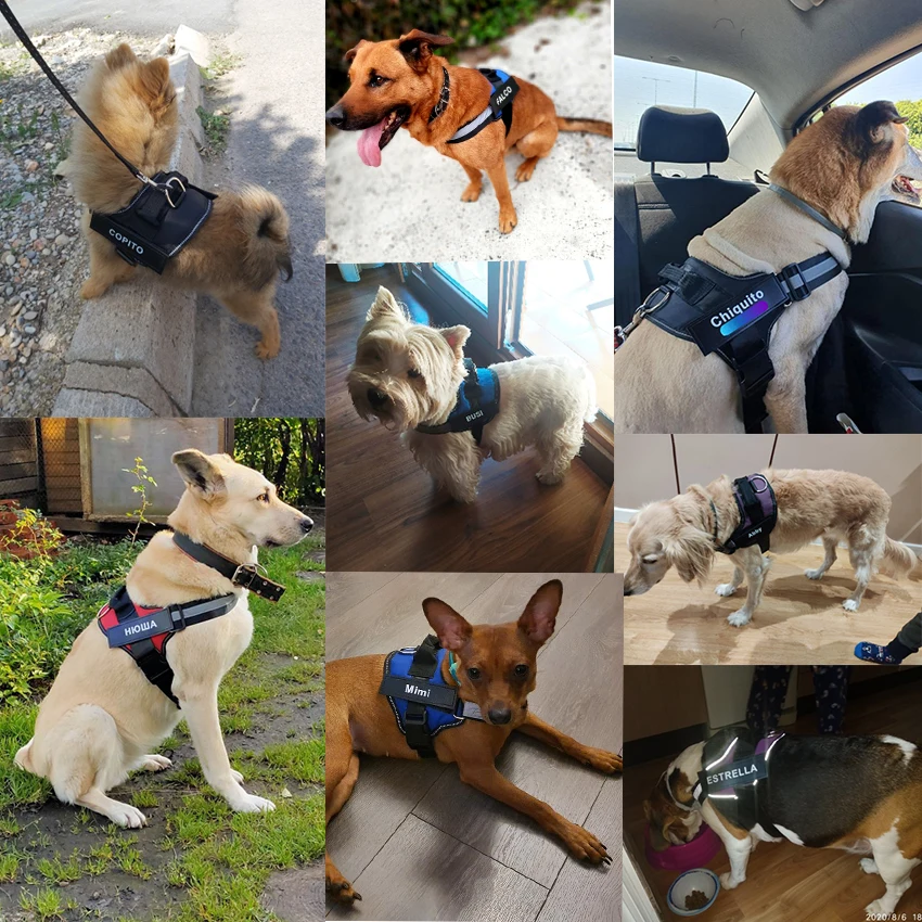 Arnês para Cães Ajustável com Faixa Refletiva e ID Personalizável - Imagem 4