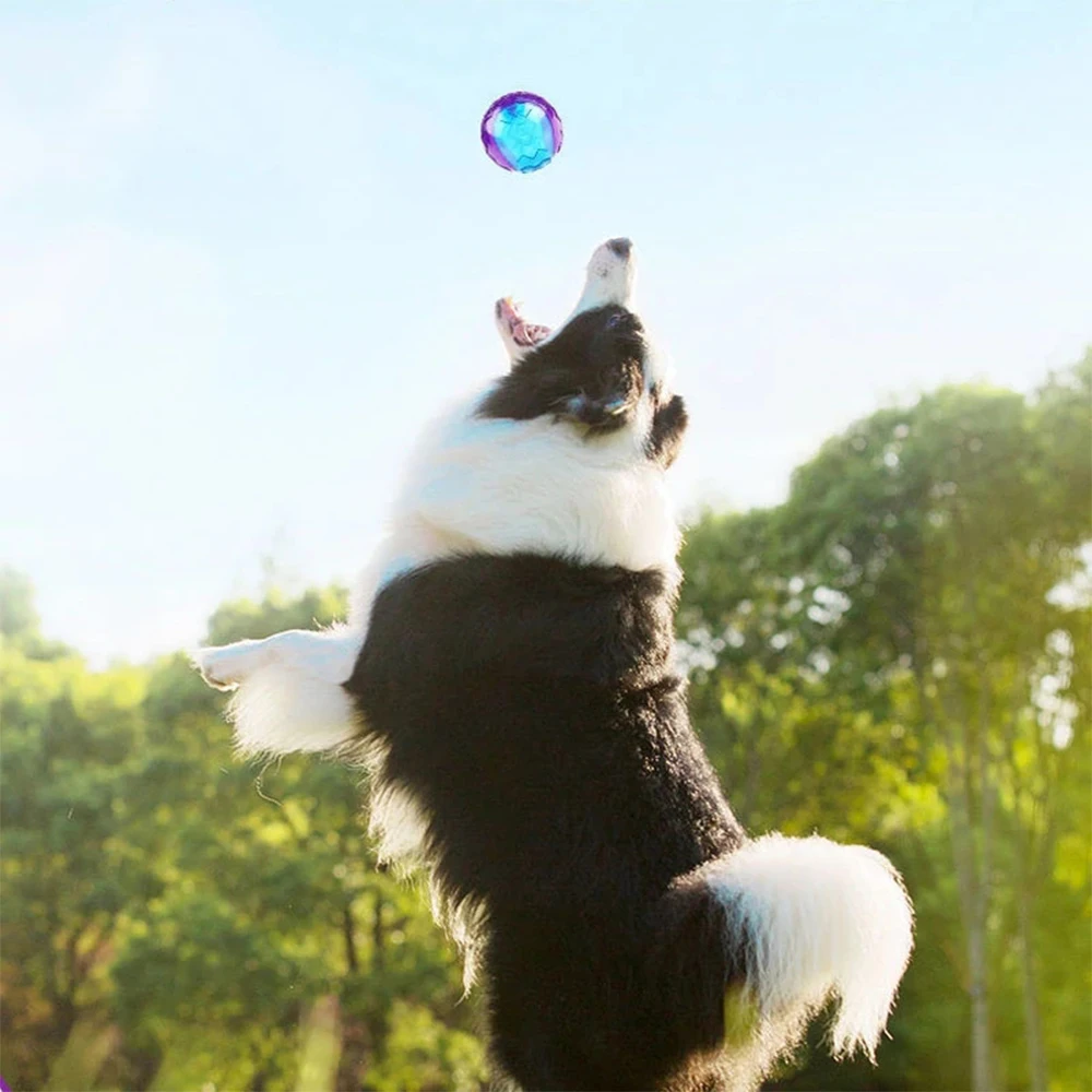 Bola de Borracha Natural Squeaky para Cães Pequenos e Grandes - Imagem 6